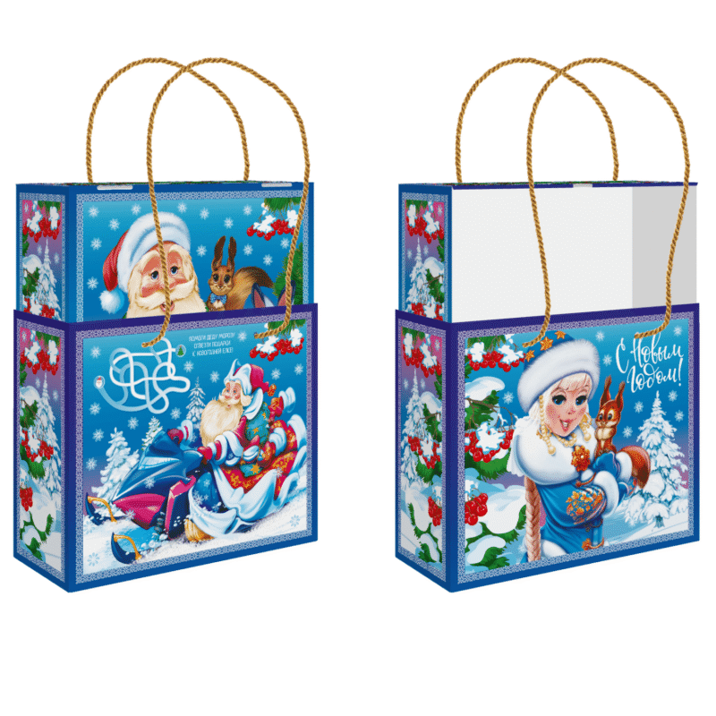 №45 Пенал Дед Мороз и Снегурочка